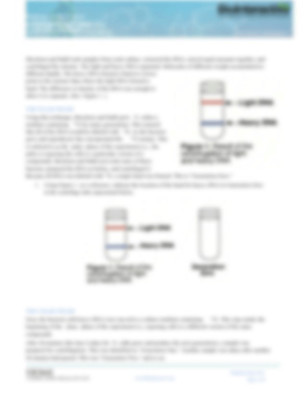 DoubleHelix-Pulse-Chase-Primer-Student_d2ypcthm1p7_page2