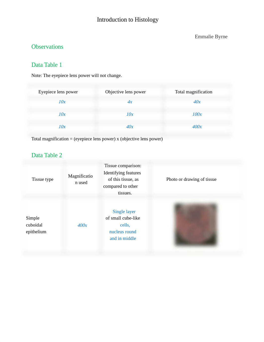 Mod 2 Lab Kit_ Introduction to Histology.docx_d2yq60v32ac_page1