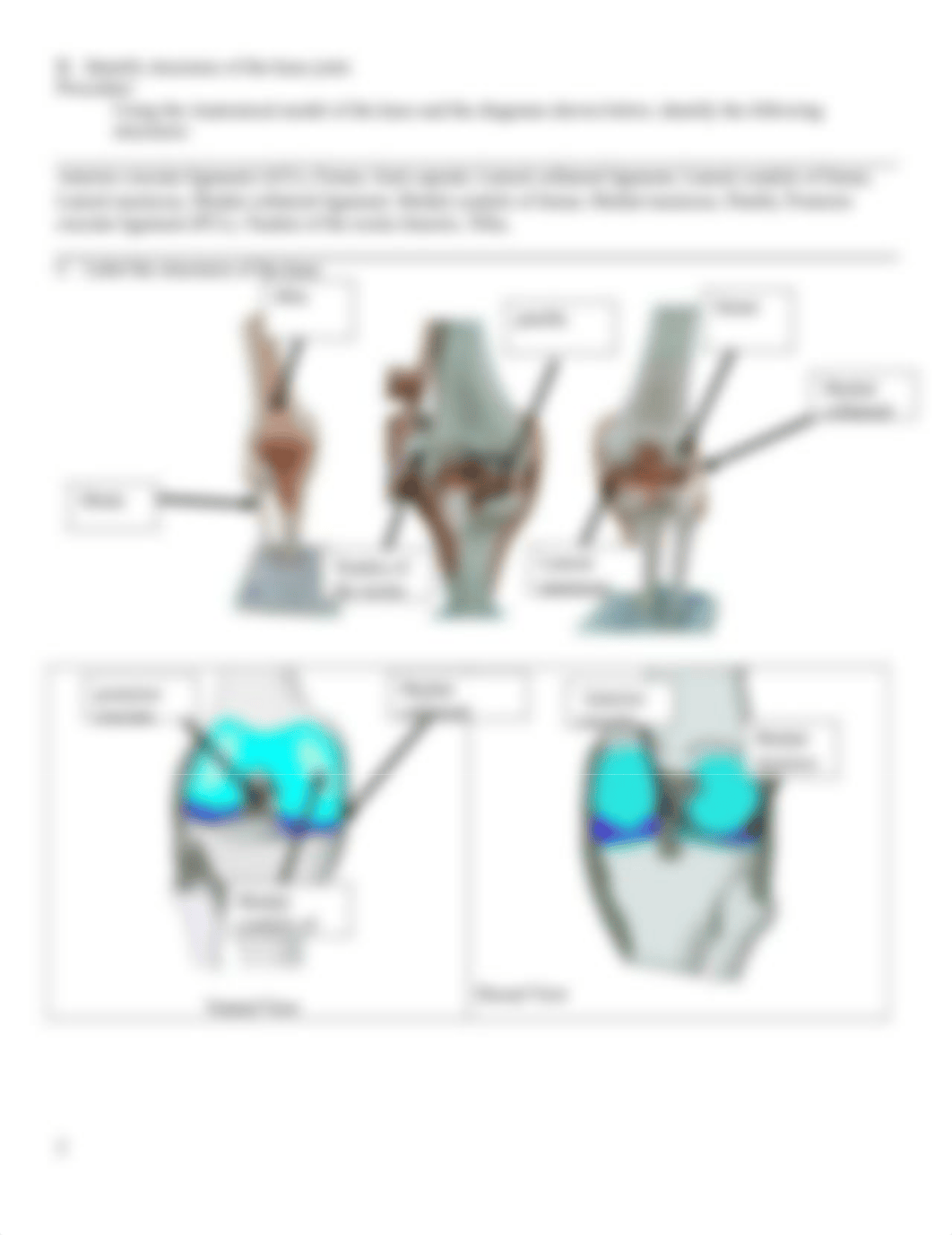 Joint+Lab+Ch.+9.dotx_d2ysi1y2s01_page2