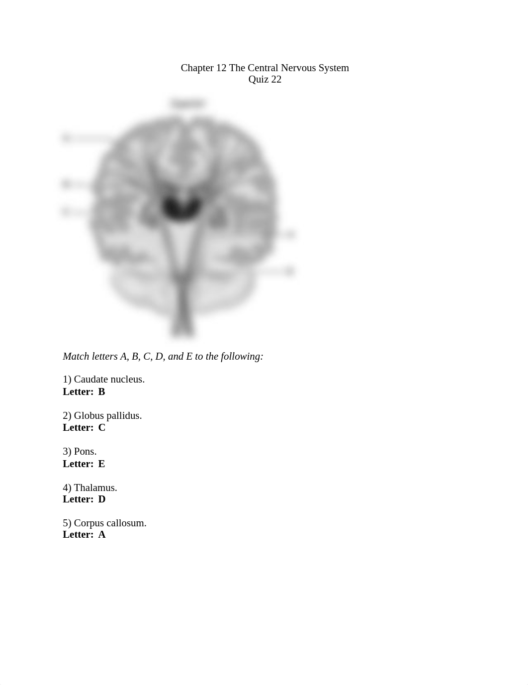 Ch. 12 quiz 22 The Central Nervous System.docx_d2yxq77b4f8_page1