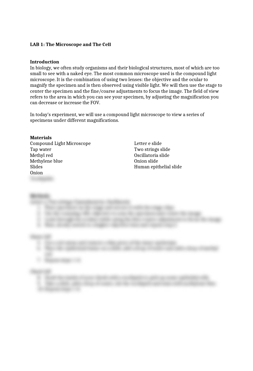 Lab 1.docx_d2z2np4kuux_page2