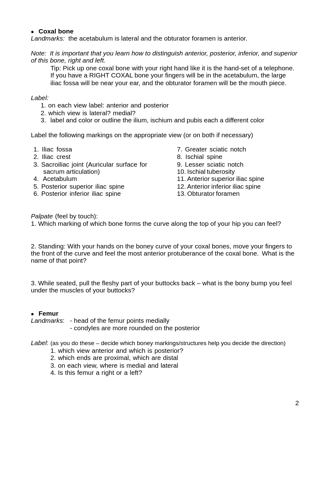 1.1 LL Bone Labeling Exercises_d2z779eyhmt_page2