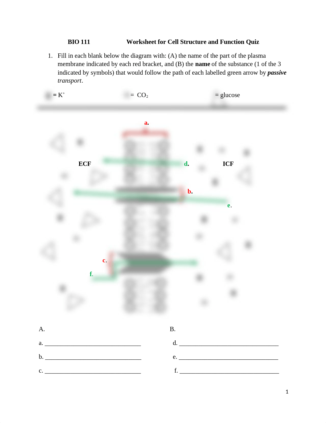 Worksheet for Cell Structure and Function Quiz.docx%3FglobalNavigation=false (1).docx_d2z7todud4m_page1