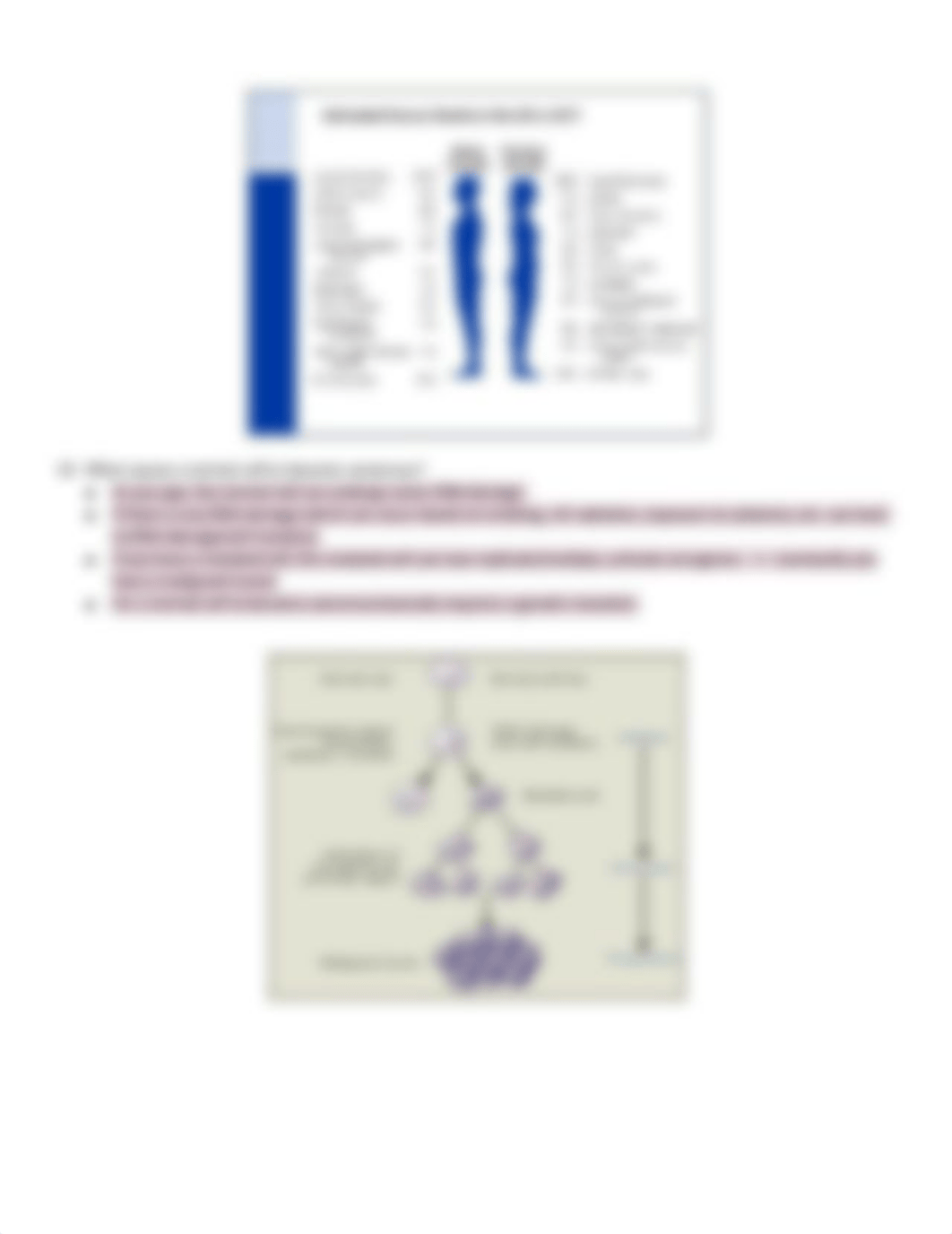 Chemotherapy (Pcol).pdf_d2zatnwf6i3_page3