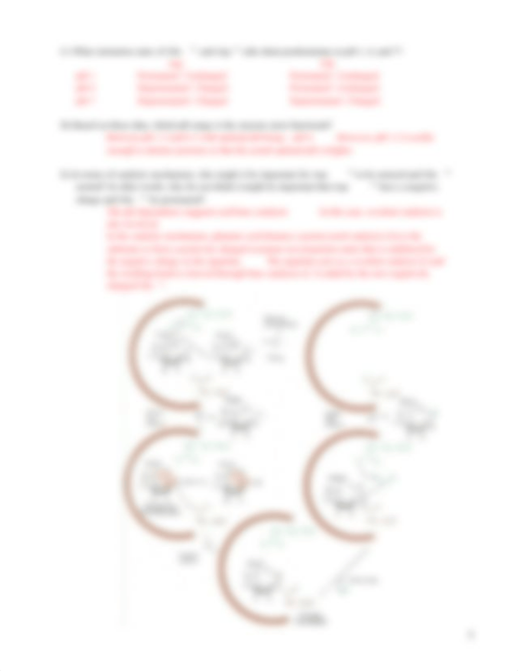 BMED 550 Problem Set 2 w answers_d2zcipuk4li_page3