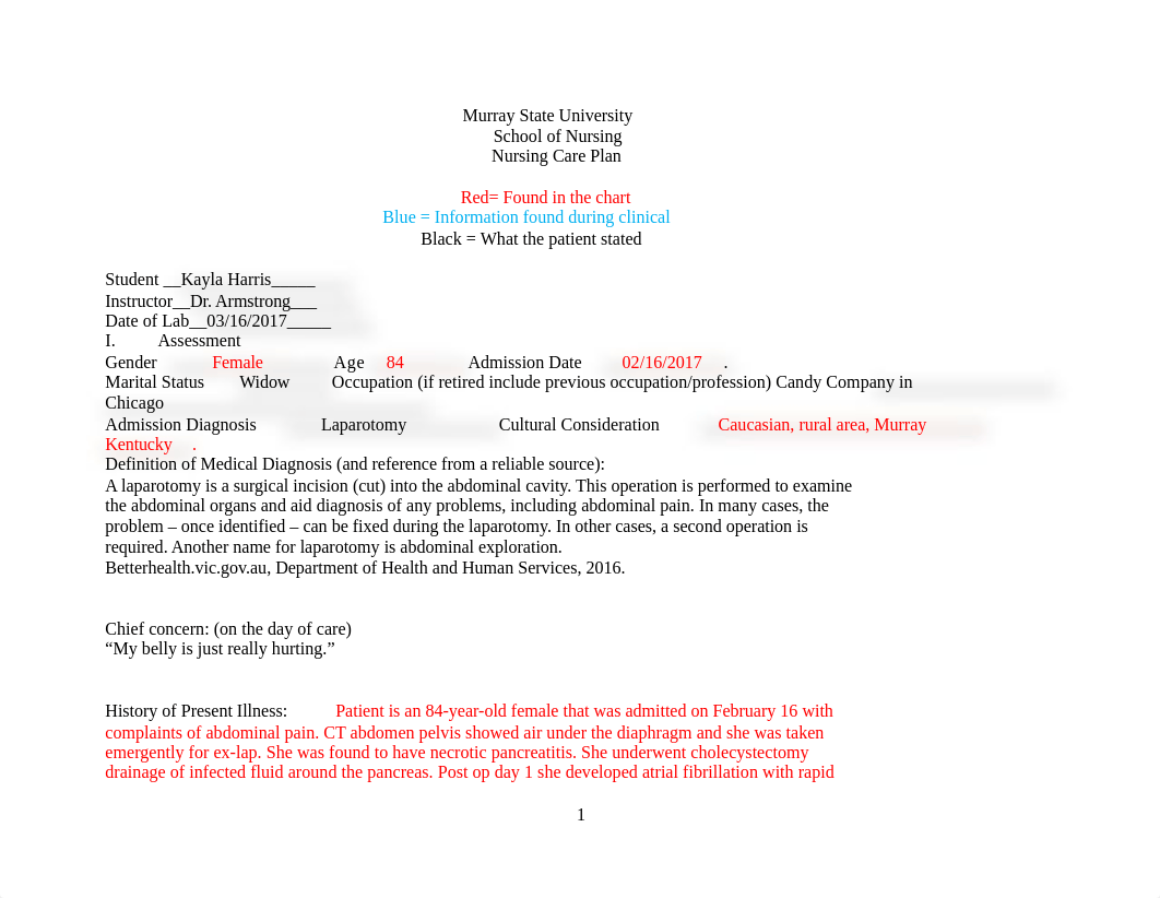 Care plan 4.docx_d2zhelvsdch_page1