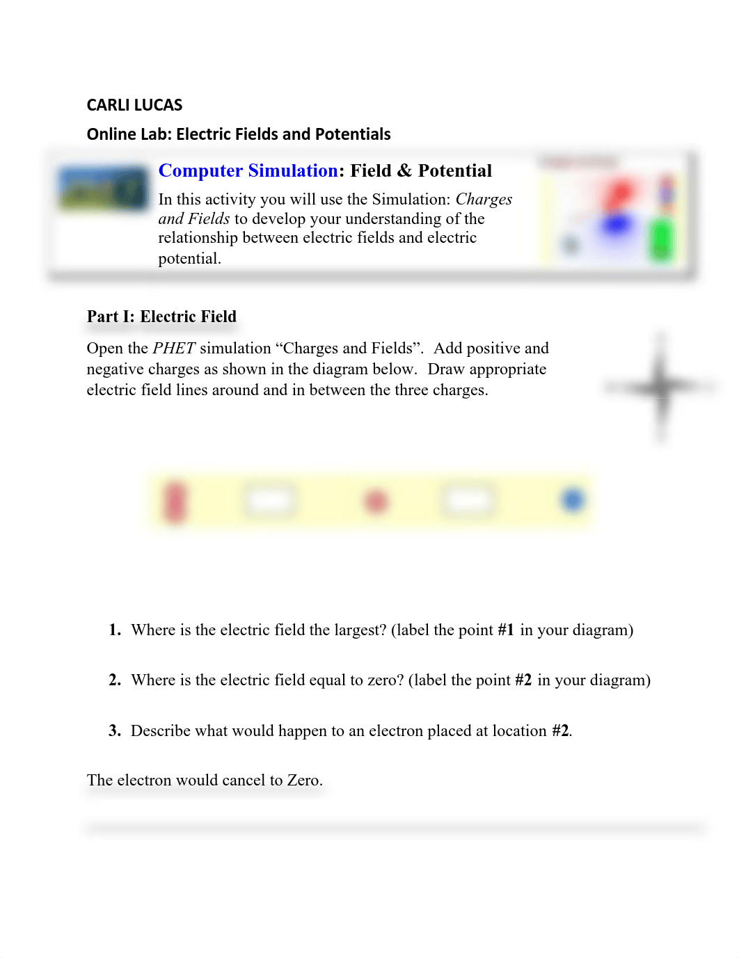 Online Lab_Electric Fields and Potentials(2).pdf_d2zqkrko5h8_page1