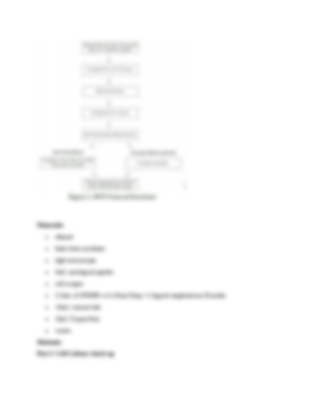 lab 3 cell activity_d2zqm8zadeg_page2