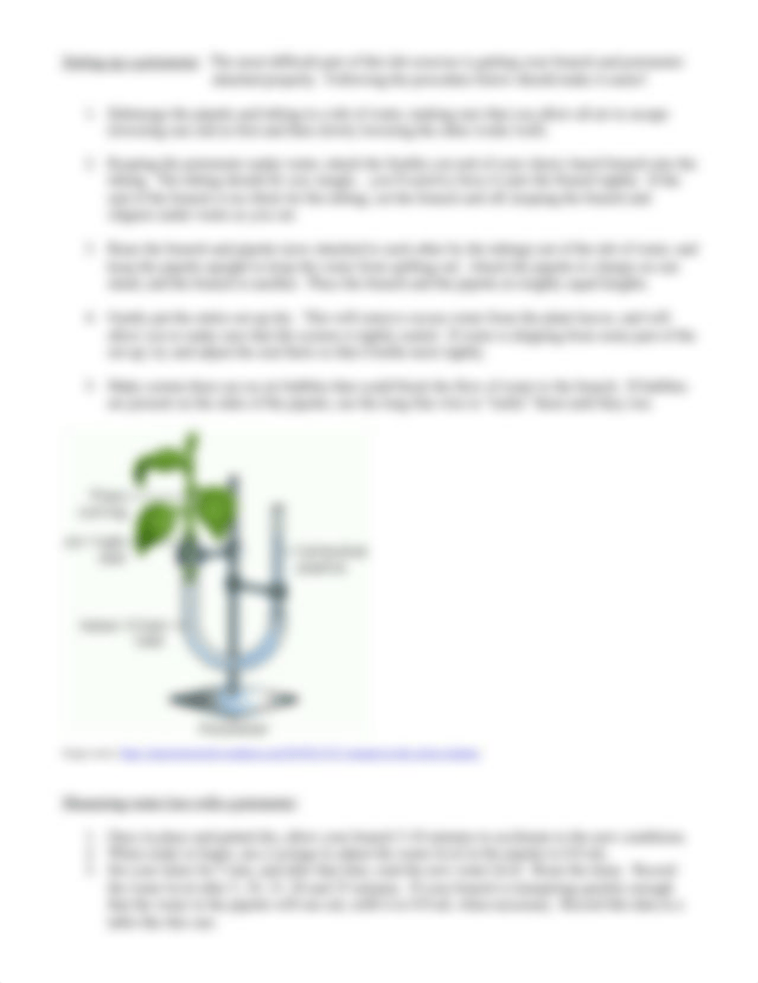 BIOL 213 Lab 5 Transpiration and Stomata (1).docx_d2zun1fxg52_page2