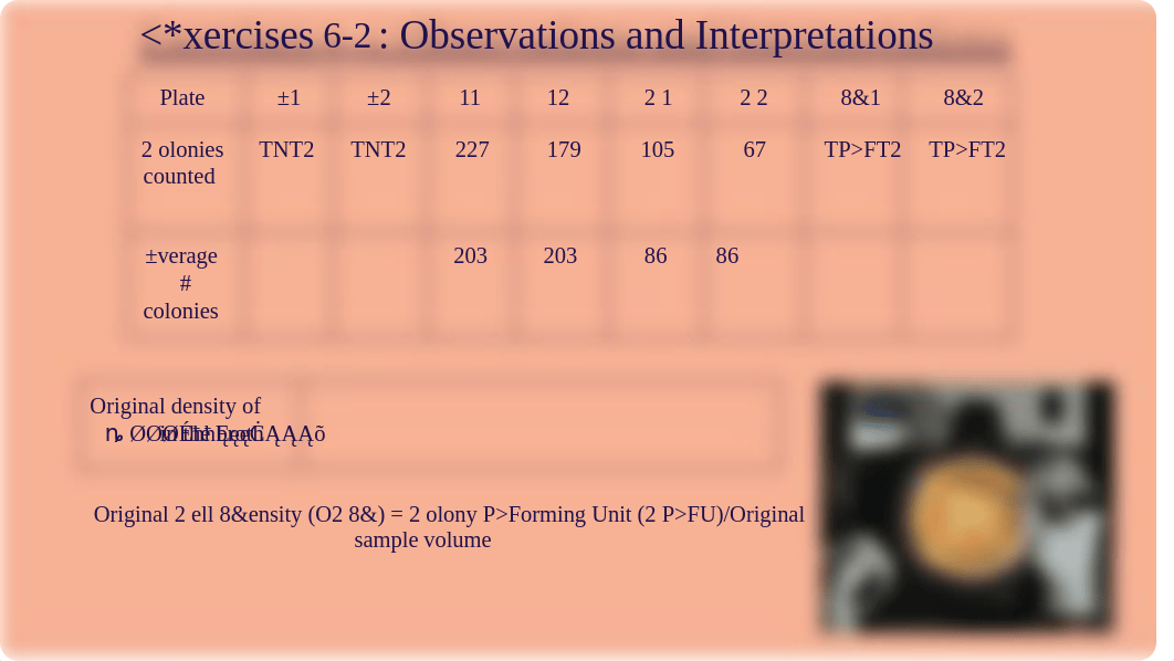 Lab # 6 Discussion.pdf_d3025l0fqos_page5