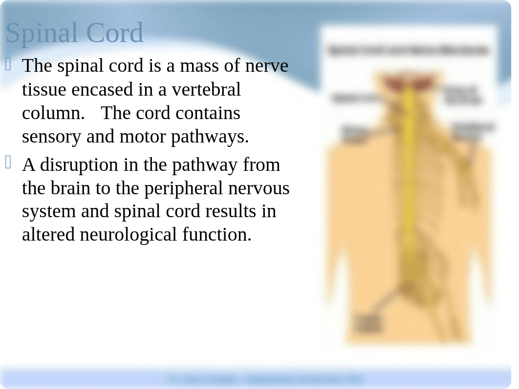 Ch28.ppt_d3031ofov0v_page4