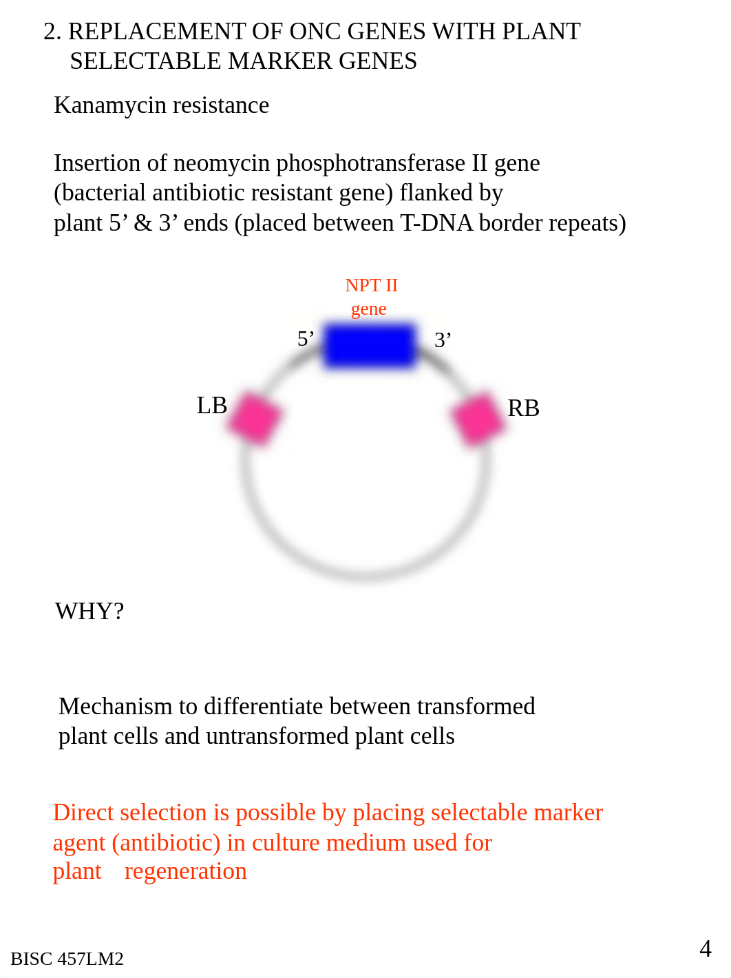 THE EXPERIMENTAL USE OF AGRO-BASED PLASMIDS FOR TRANSFER OF NOVEL GENES INTO PLANTS_d3067896w3m_page4