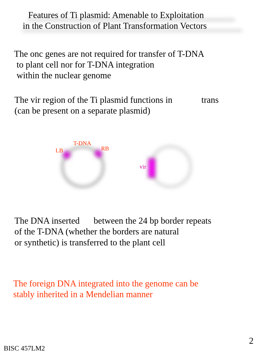 THE EXPERIMENTAL USE OF AGRO-BASED PLASMIDS FOR TRANSFER OF NOVEL GENES INTO PLANTS_d3067896w3m_page2