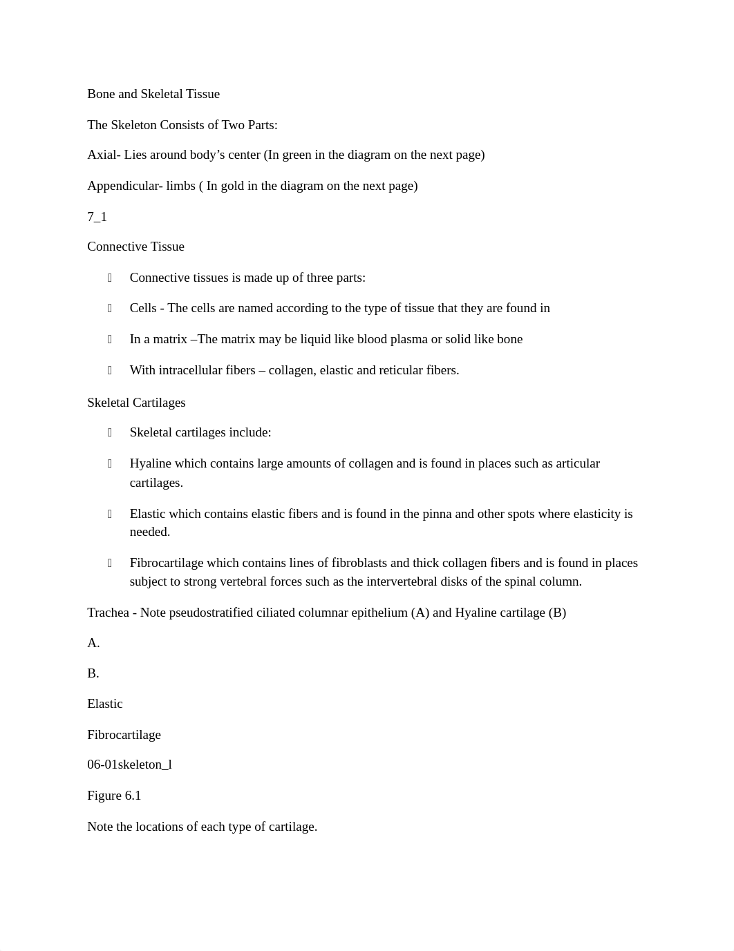 Bone and Skeletal Tissue Laboratory Notes_d308bs4tait_page1