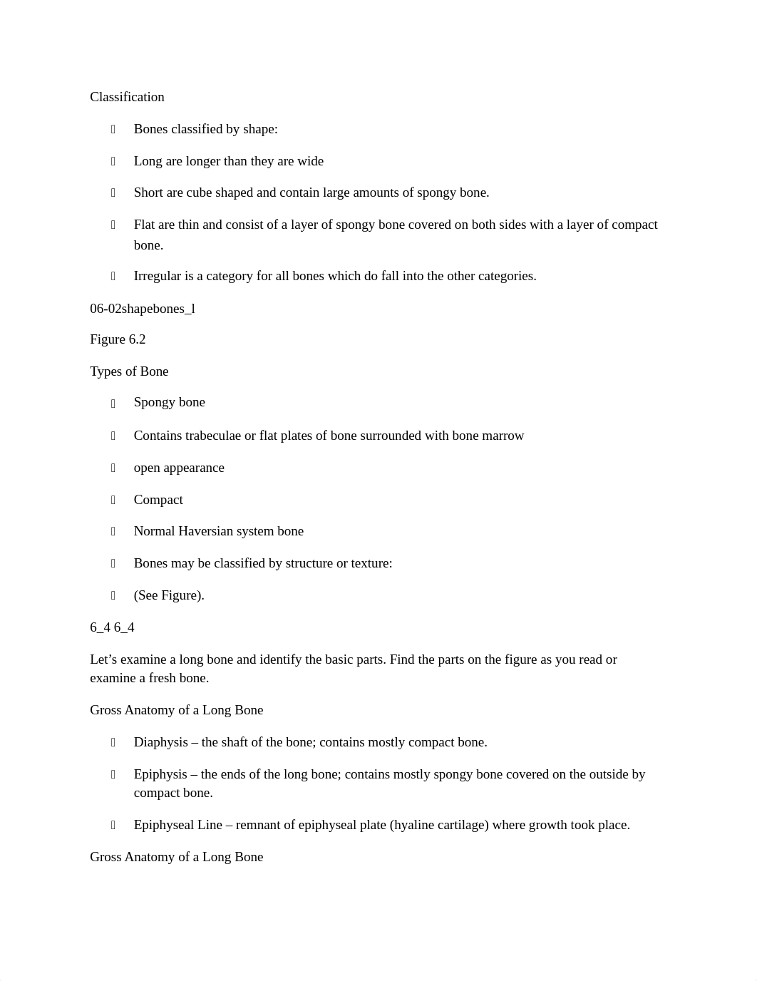 Bone and Skeletal Tissue Laboratory Notes_d308bs4tait_page2