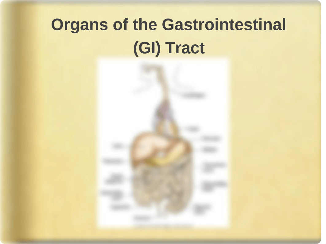 Bowel Elimination Lecture Slides_d30cn25h8wg_page2