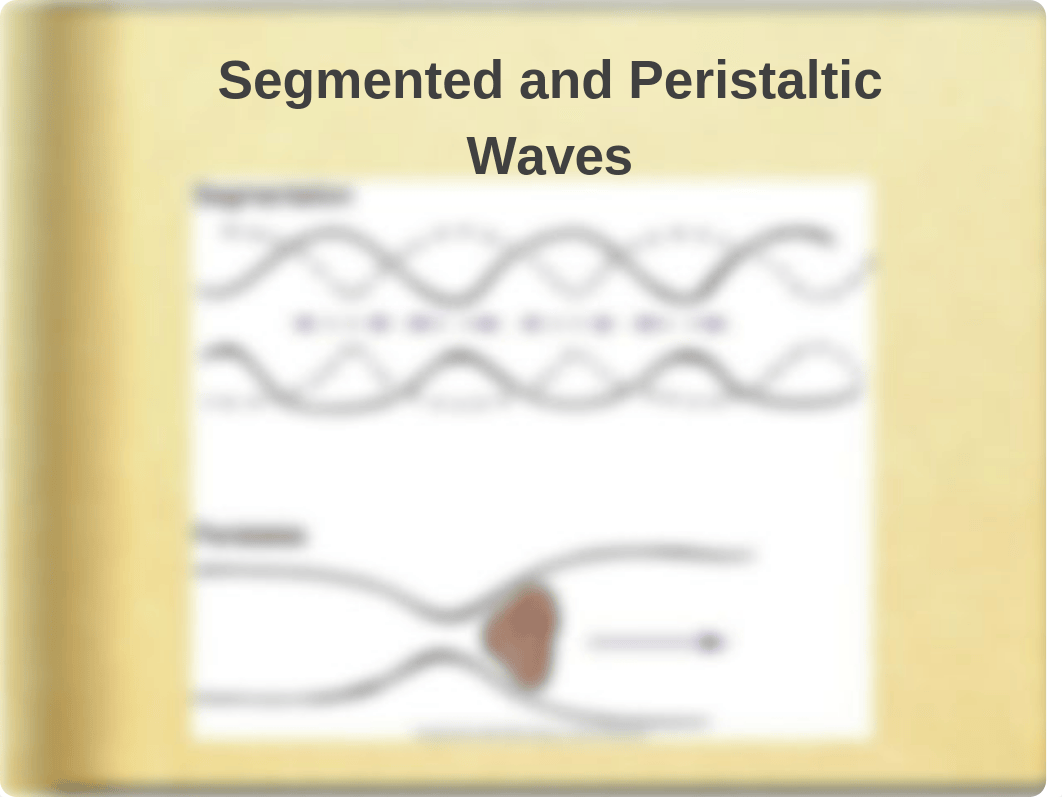 Bowel Elimination Lecture Slides_d30cn25h8wg_page4