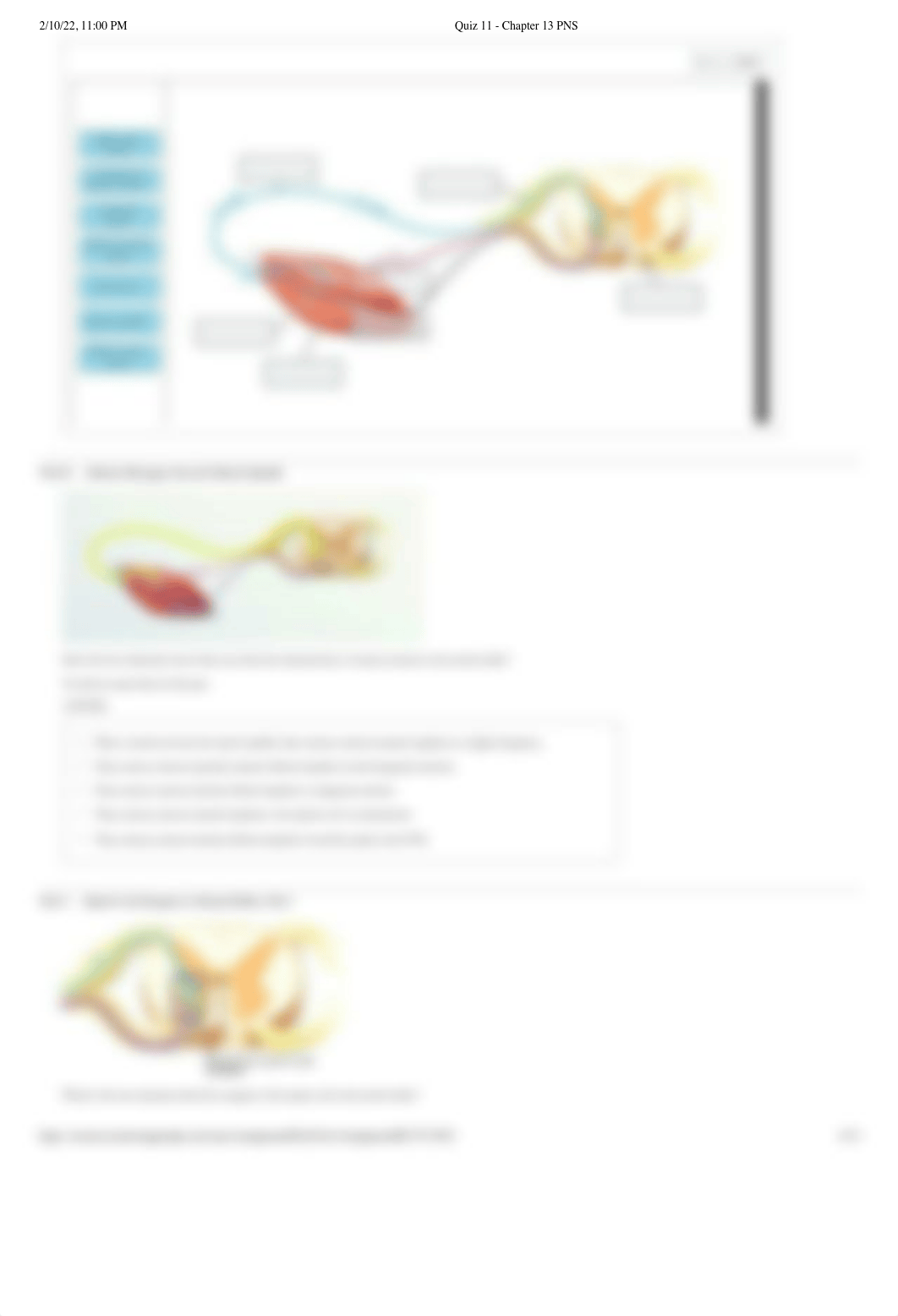 Quiz 11 - Chapter 13 PNS.pdf_d30l9vf03nc_page4