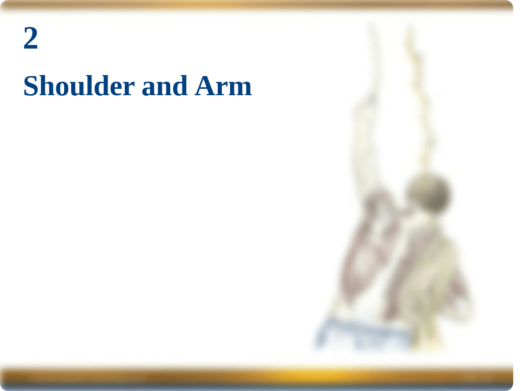 Chapter 2 Power Point -- Shoulder & Arm.ppt_d30rtni4ezb_page1