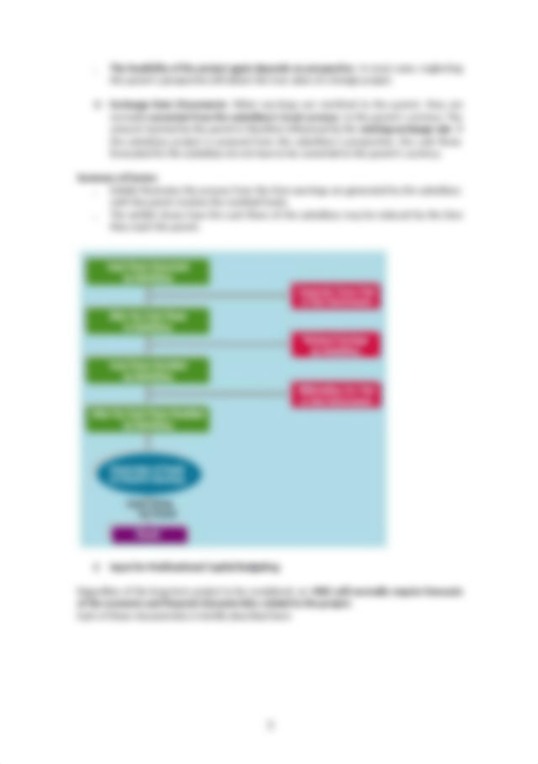 S5. Long-Term Asset and Liability Management - Multinational Capital Budgeting  .docx_d30uzuzr59k_page3