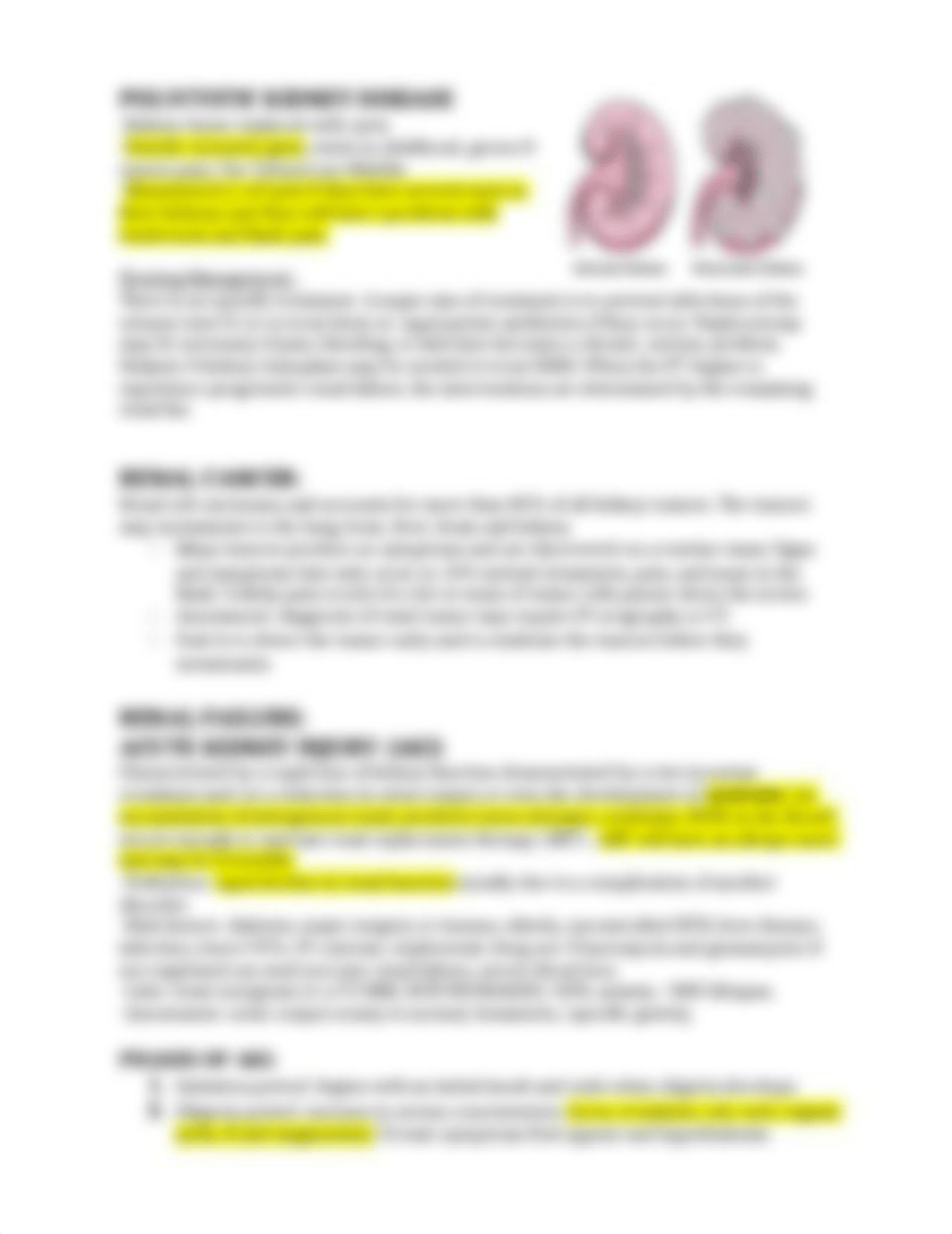 test 3 study guide.docx_d30wek280a1_page2