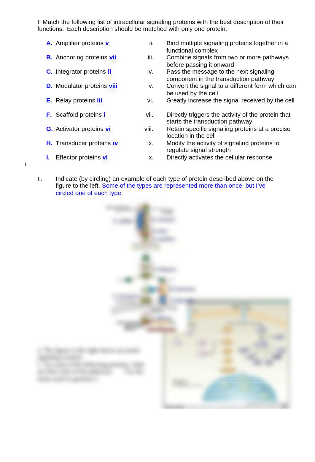 Exam 3 Study guide Key_d310l9s7djd_page2