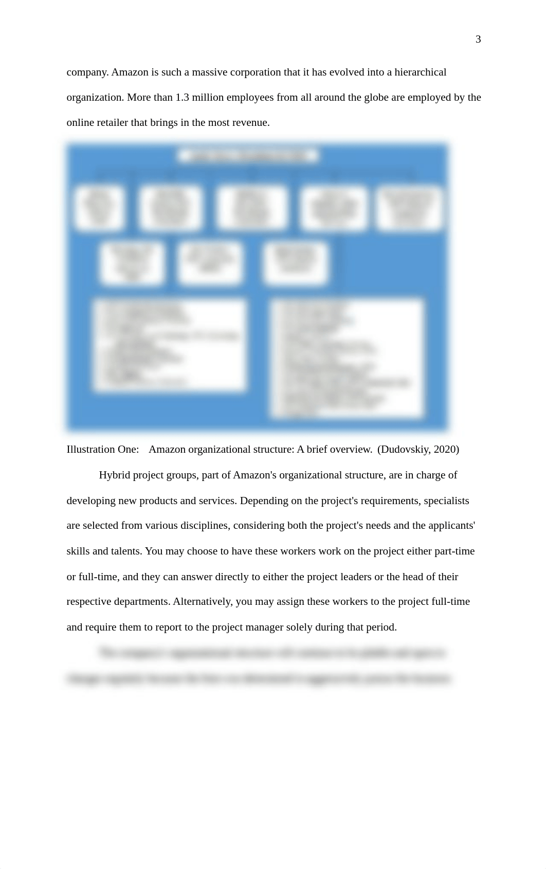 Organizational Analysis of Amazon.docx_d314g9zr2ah_page3