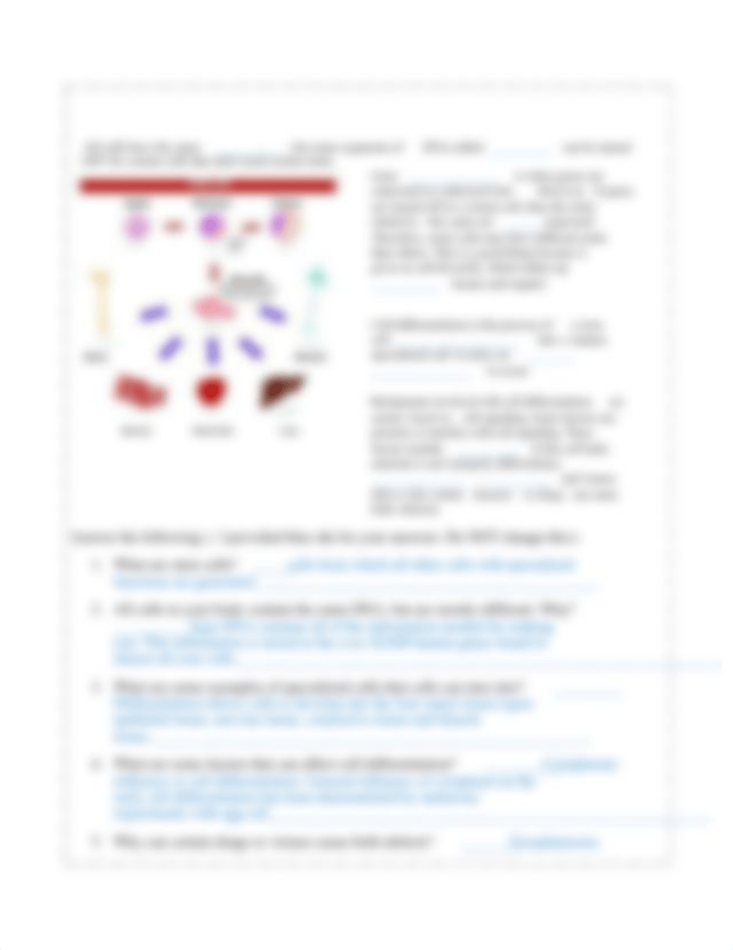 cell defusion.docx_d316e81gqex_page2