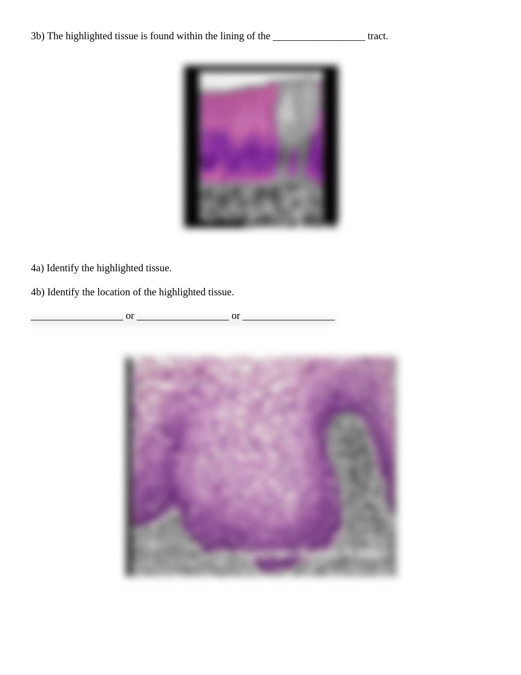 Real Anatomy Cell & Tissue Identification 1&2.docx_d31awrsunl9_page2