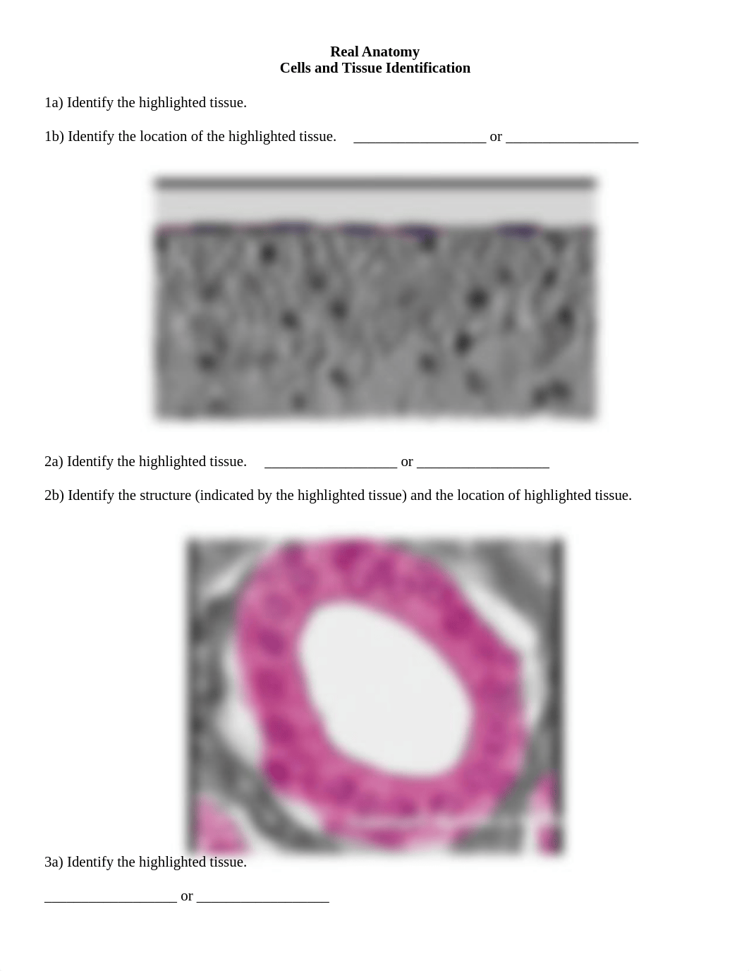 Real Anatomy Cell & Tissue Identification 1&2.docx_d31awrsunl9_page1