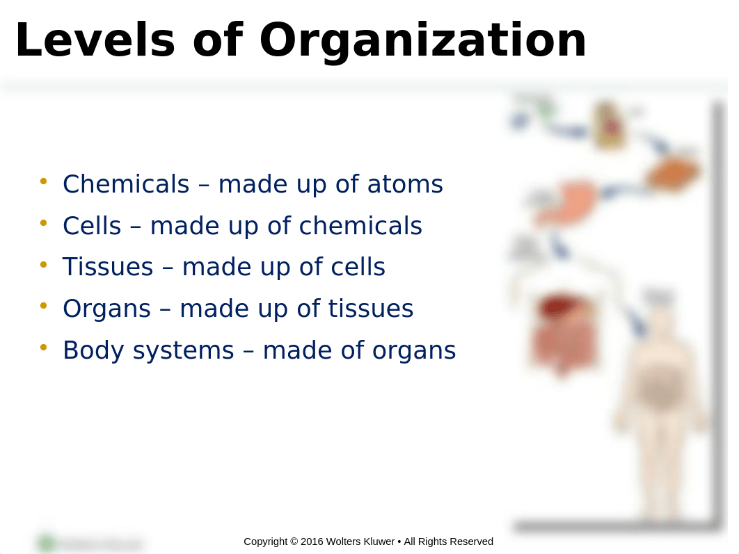 BIO101.Chapter1_d31f8ahbry6_page5