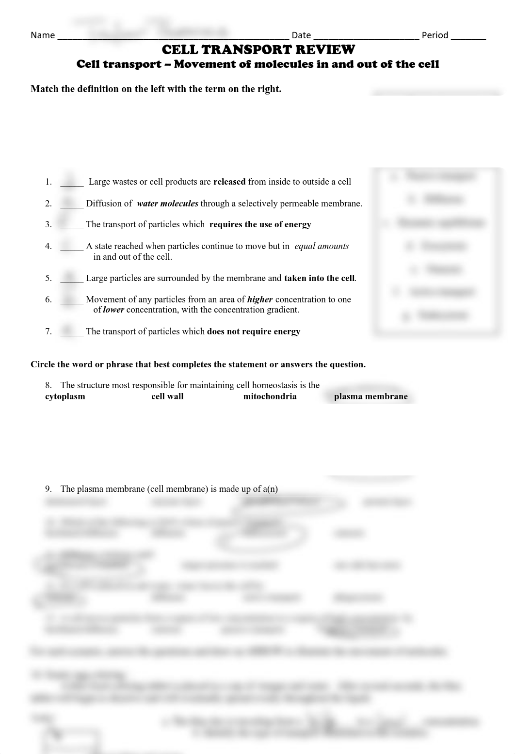 Cell transport homework.pdf_d31psom8l34_page1