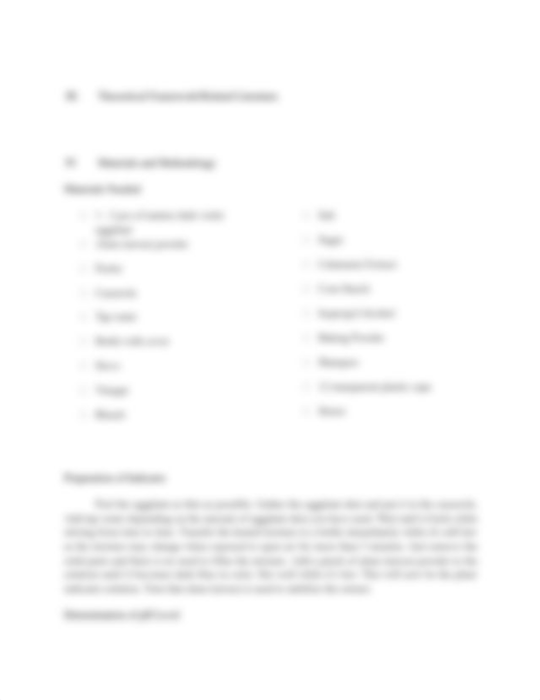 Individual-report-format-1.docx_d31zcqg10qp_page3