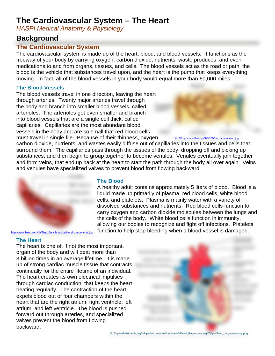 Heart Anatomy Lab Activity.docx_d3215bzqvit_page1