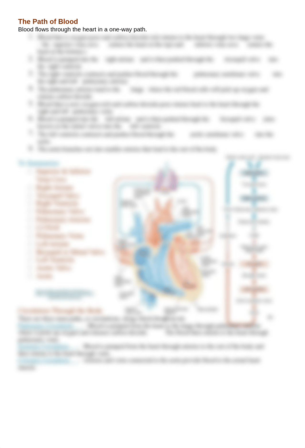 Heart Anatomy Lab Activity.docx_d3215bzqvit_page2