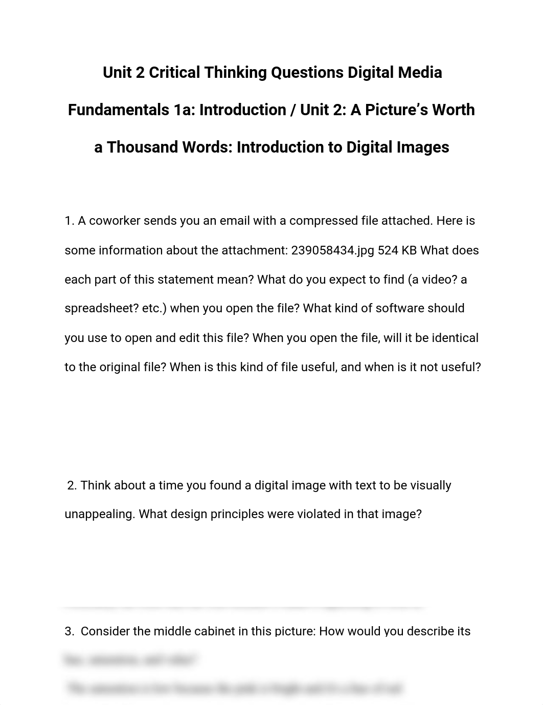 Unit 2 Critical Thinking Questions Digital Media Fundamentals 1a_ Introduction _ Unit 2_ A Picture's_d32ey1xgbyq_page1