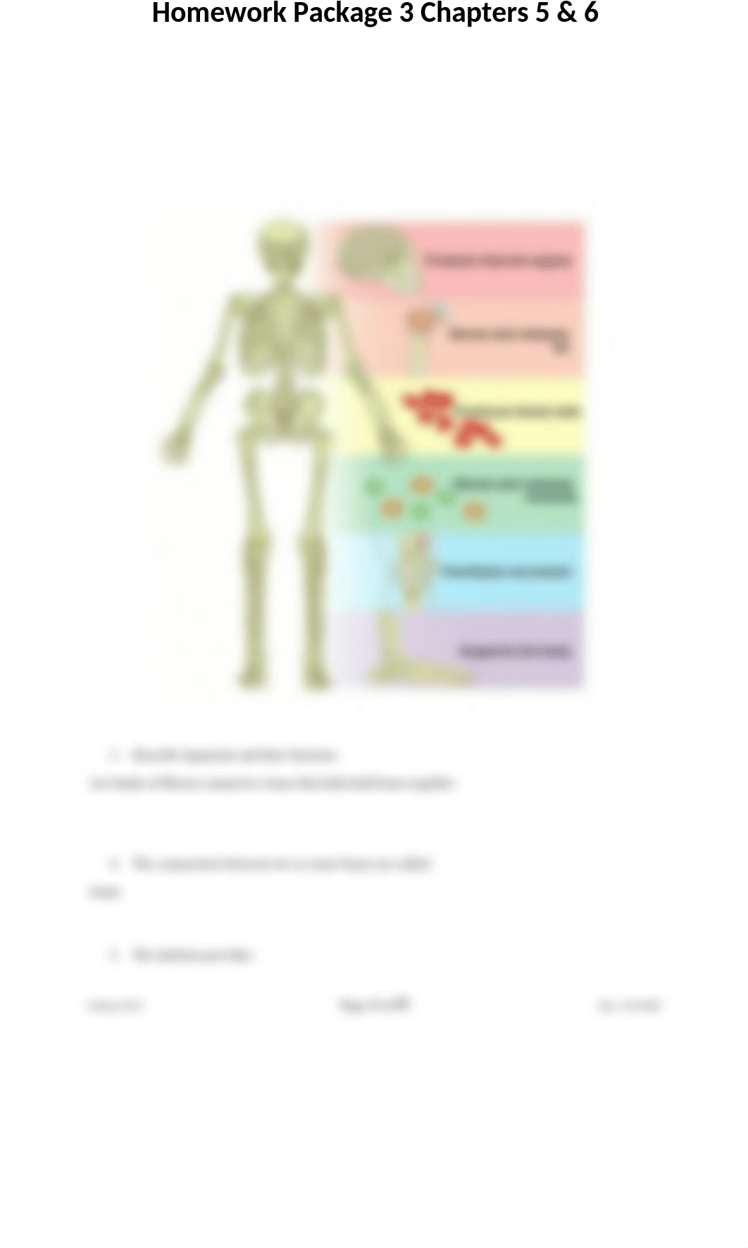 Homework Package 3 CHAPTERS 5 & 6.docx_d32iyh99xgh_page5