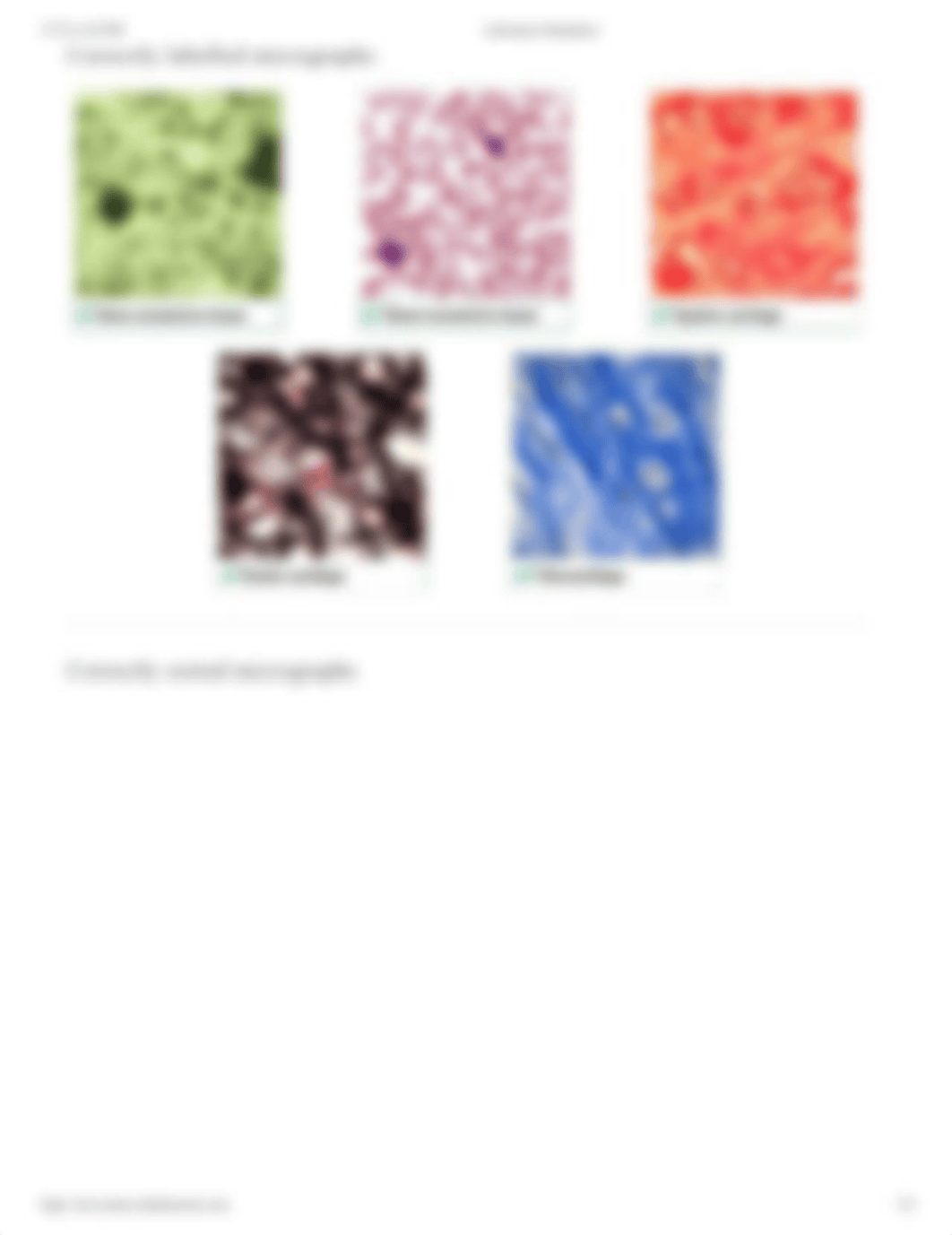 Microscopy - Connective Tissue Histology.pdf_d32vkmitp6i_page3