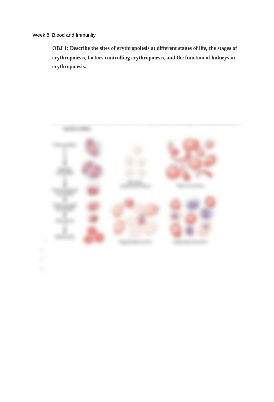 Week 8_ Blood and Immunity.docx_d32w2lyymu6_page1