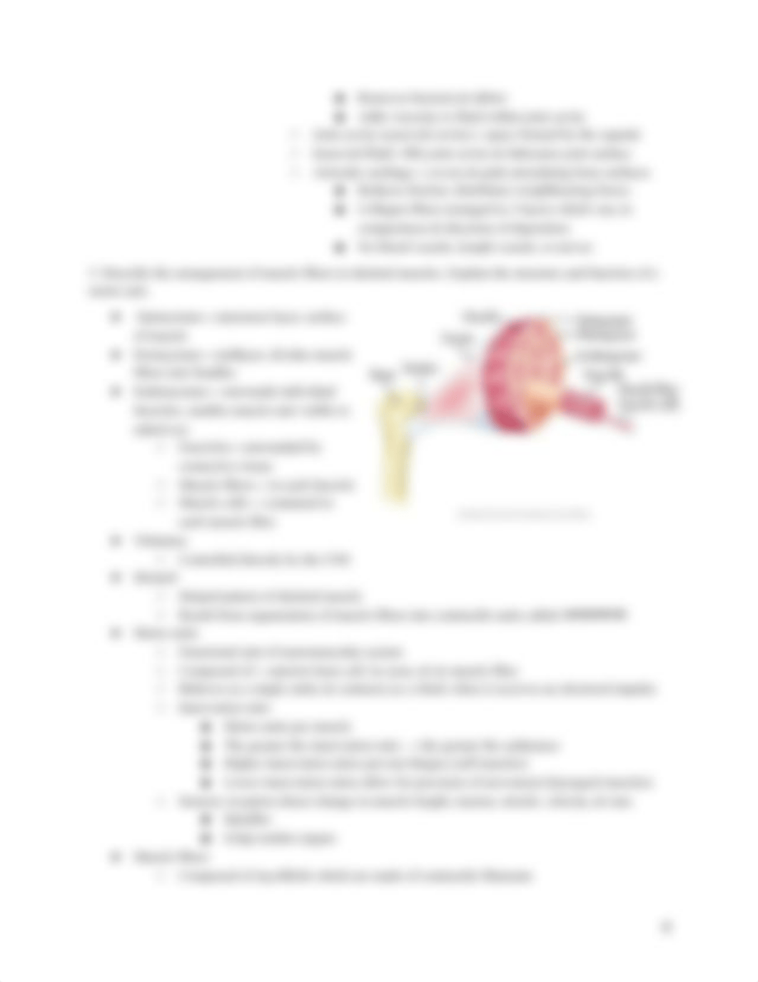 Musculoskeletal System Learning Objectives (1).pdf_d3329y44hos_page4