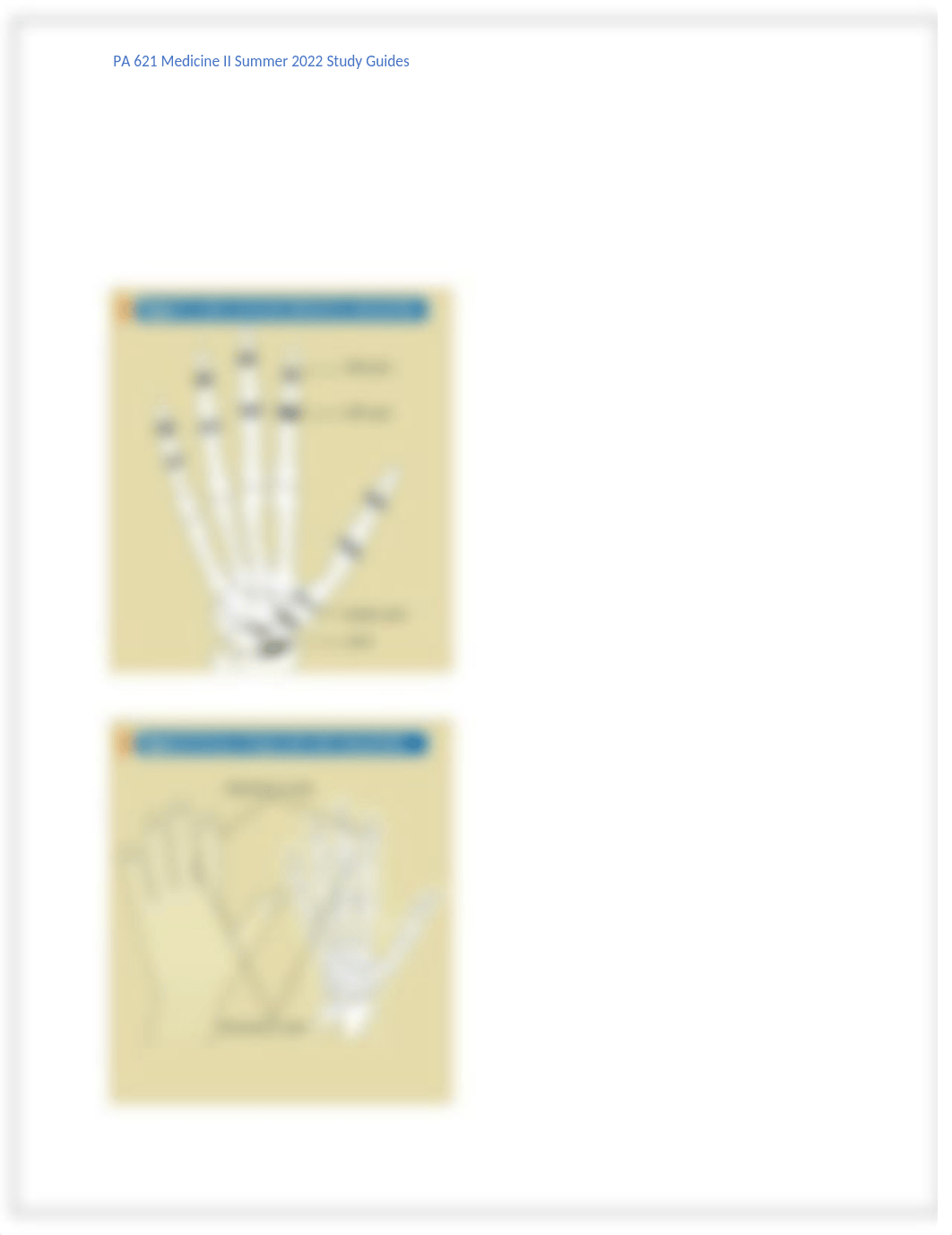 rheumatology study guide.docx_d33647i6vuc_page3