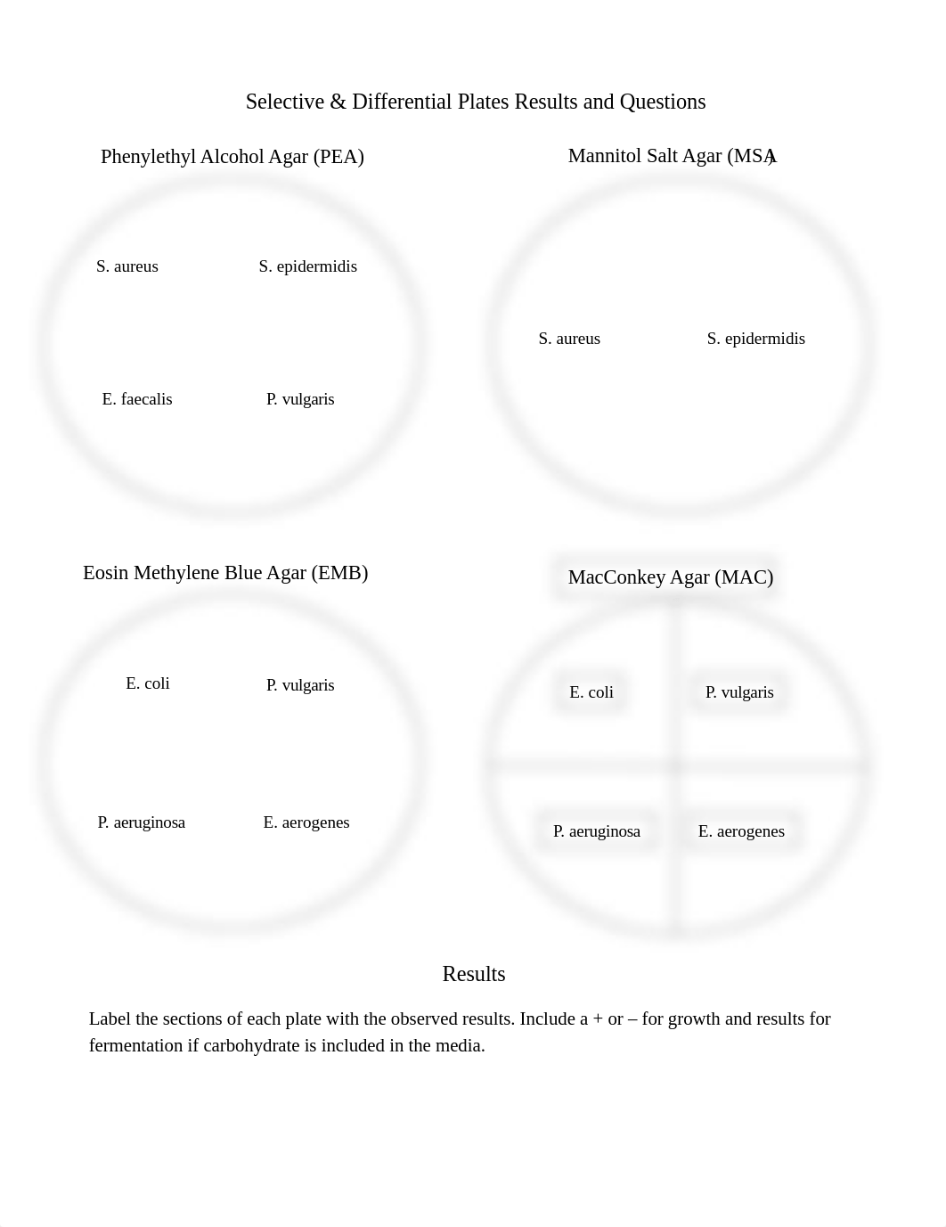 Selective & Differential Plates Results & Questions.docx_d337lzjxcat_page1