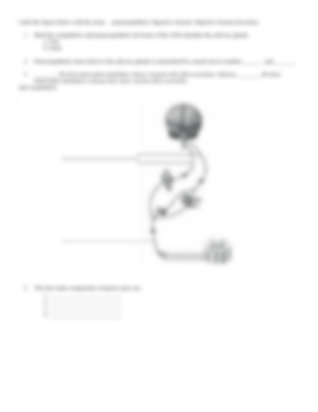 Worksheet_ Digestive System.doc_d33q23idzpw_page2