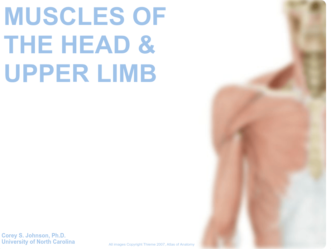 05 Upper Limb and Facial Muscles.pdf_d33r0omy2vy_page1