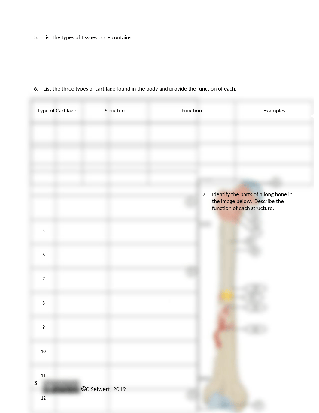 Skeletal System Concept Check.docx_d33xqfgbtdt_page3