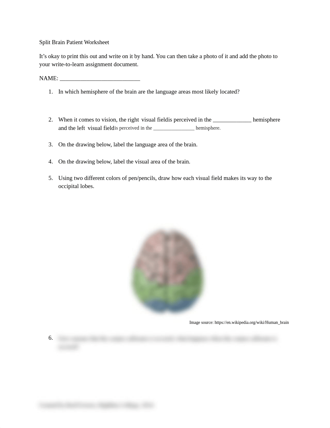 split brain worksheet.docx_d3425o2edbe_page1