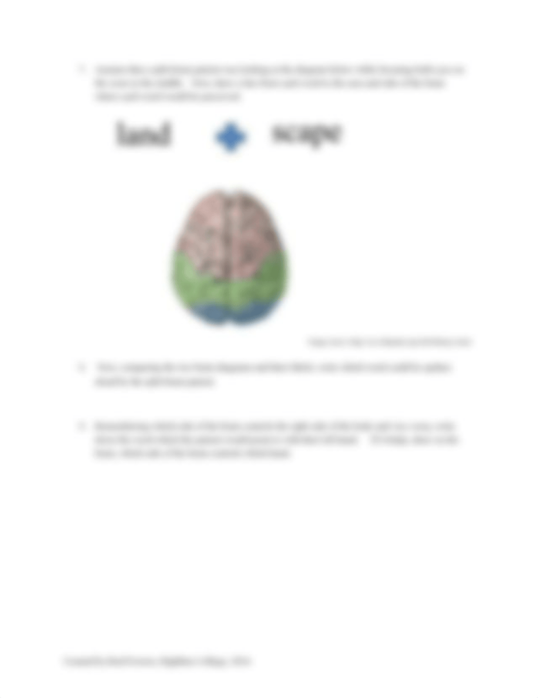 split brain worksheet.docx_d3425o2edbe_page2