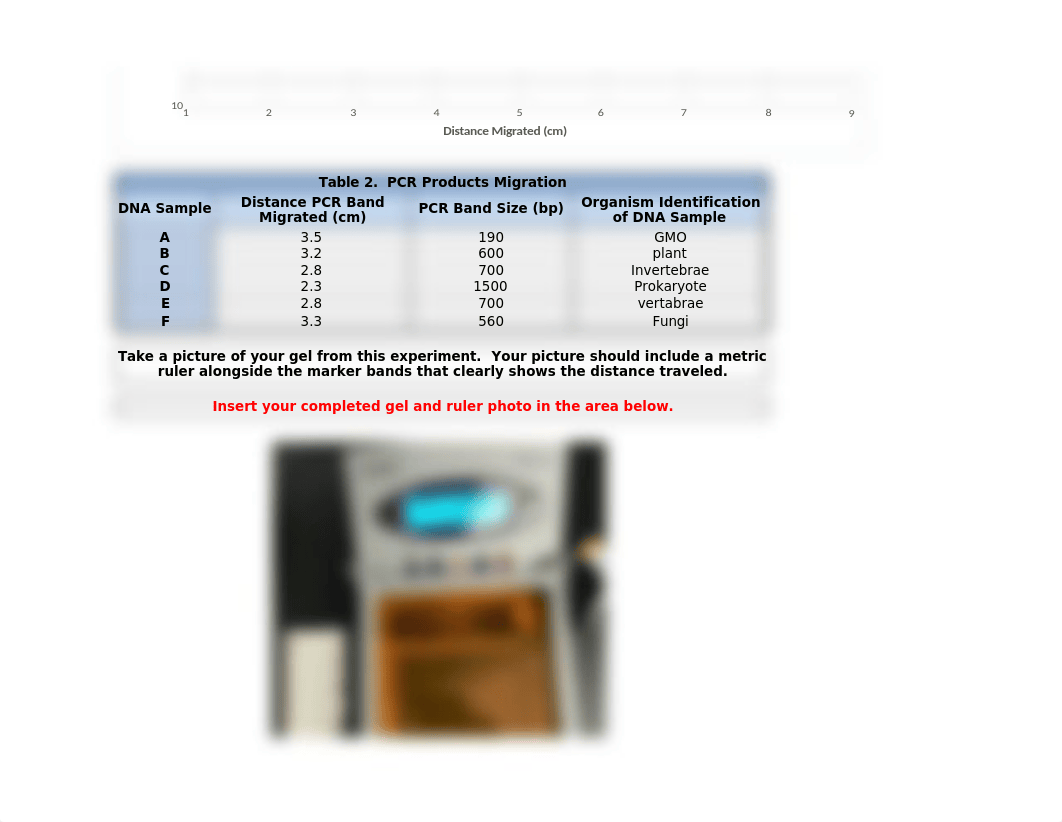 Molecular Analysis Post-Lab Assignment Face-to-Face (1).xlsx_d344soxtb2f_page3