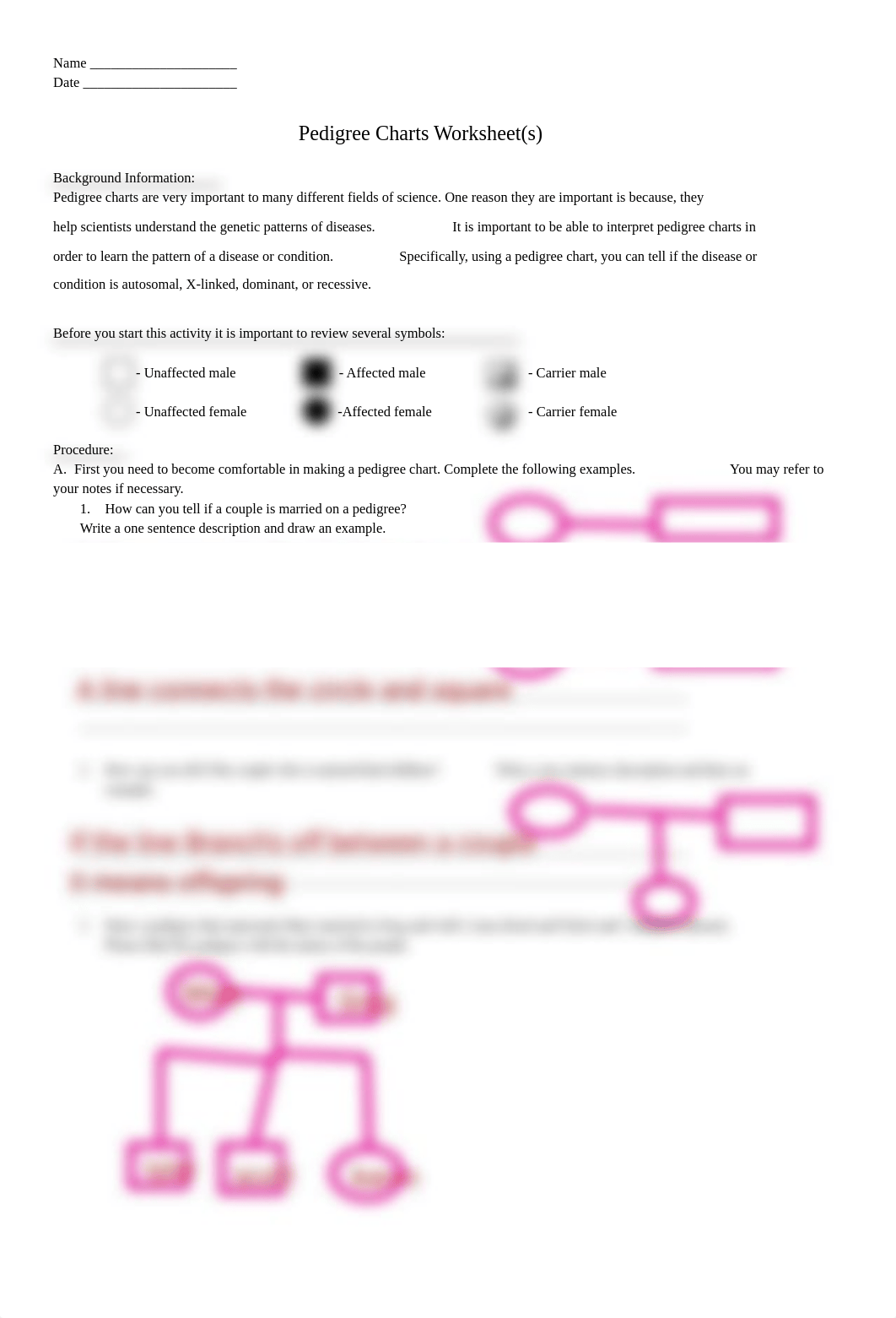 EGAN RAWN - Copy of pedigree_chart.pdf_d347q1w2eth_page1