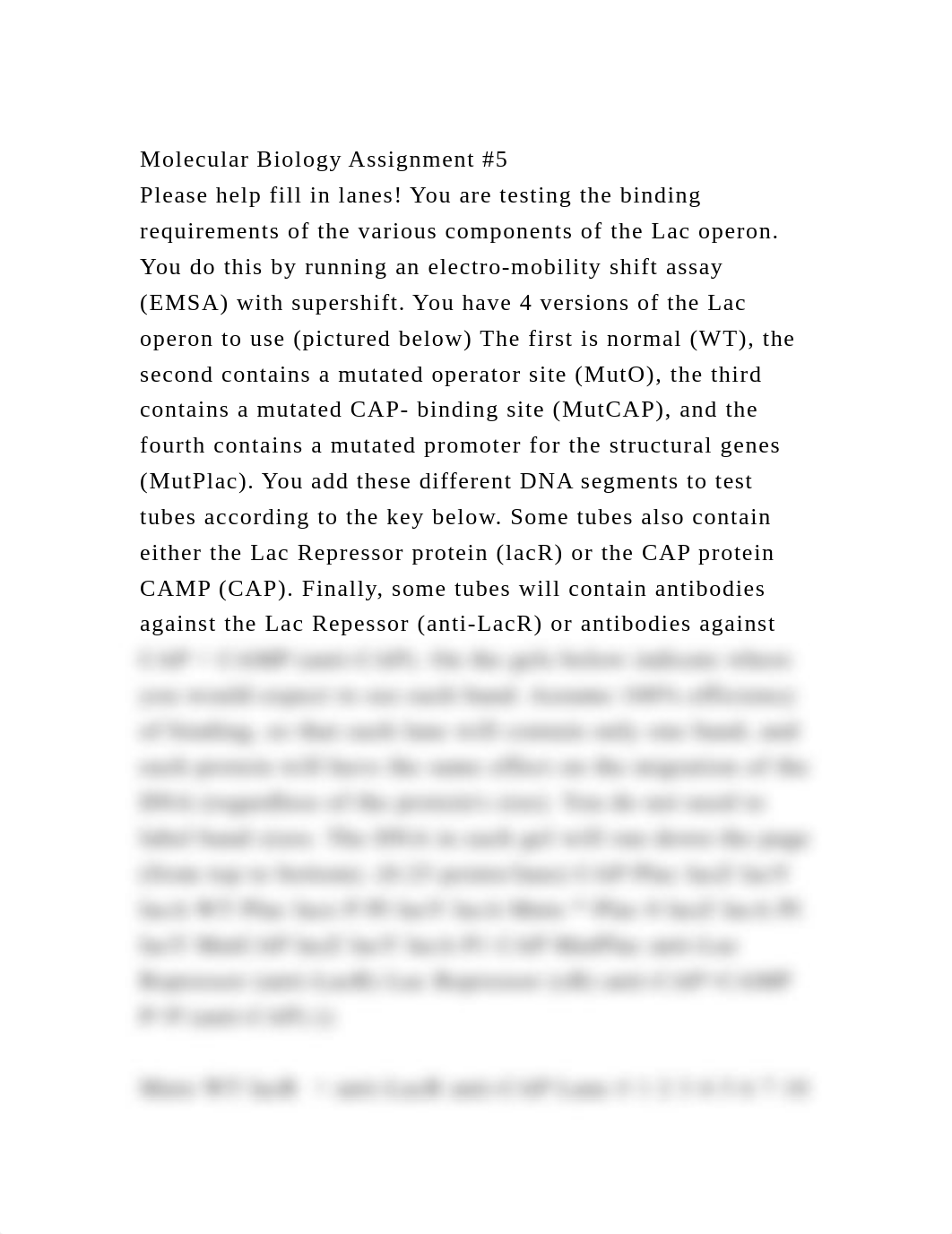 Molecular Biology Assignment #5Please help fill in lanes! You are .docx_d347tugjh8x_page1